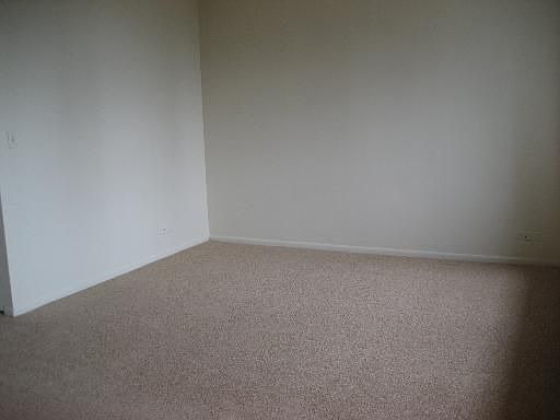 5th image of 88 W Schiller St APT 505L