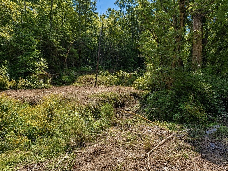 2nd image of 465 Halls Hollow Rd