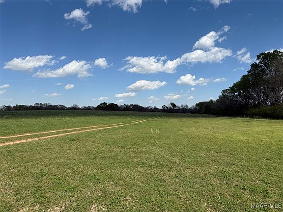 4th image of 1 County Road 81