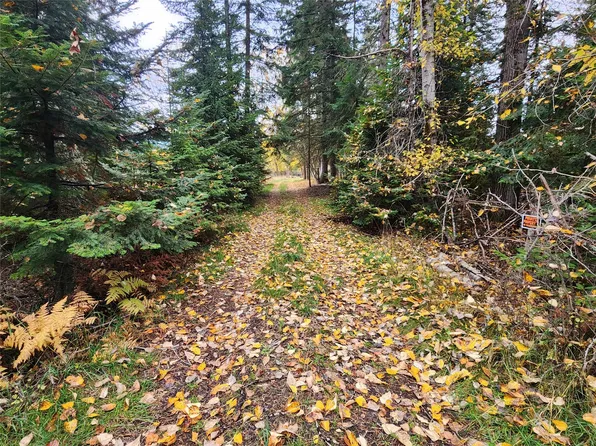 283 Ferndale Dr, Bigfork, MT 59911