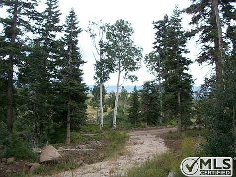 20120720202515750871000000-o