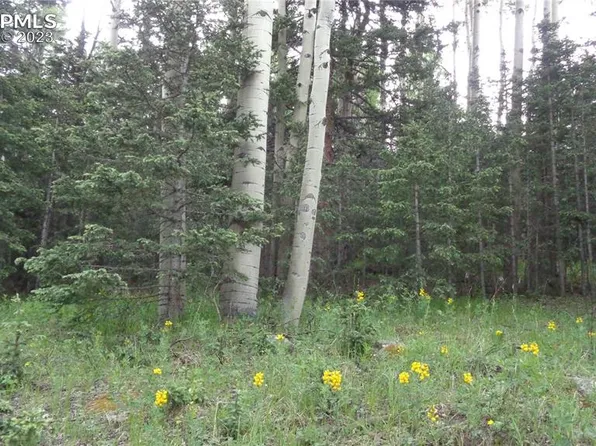108 Hillside Ter, Cripple Creek, CO 80813