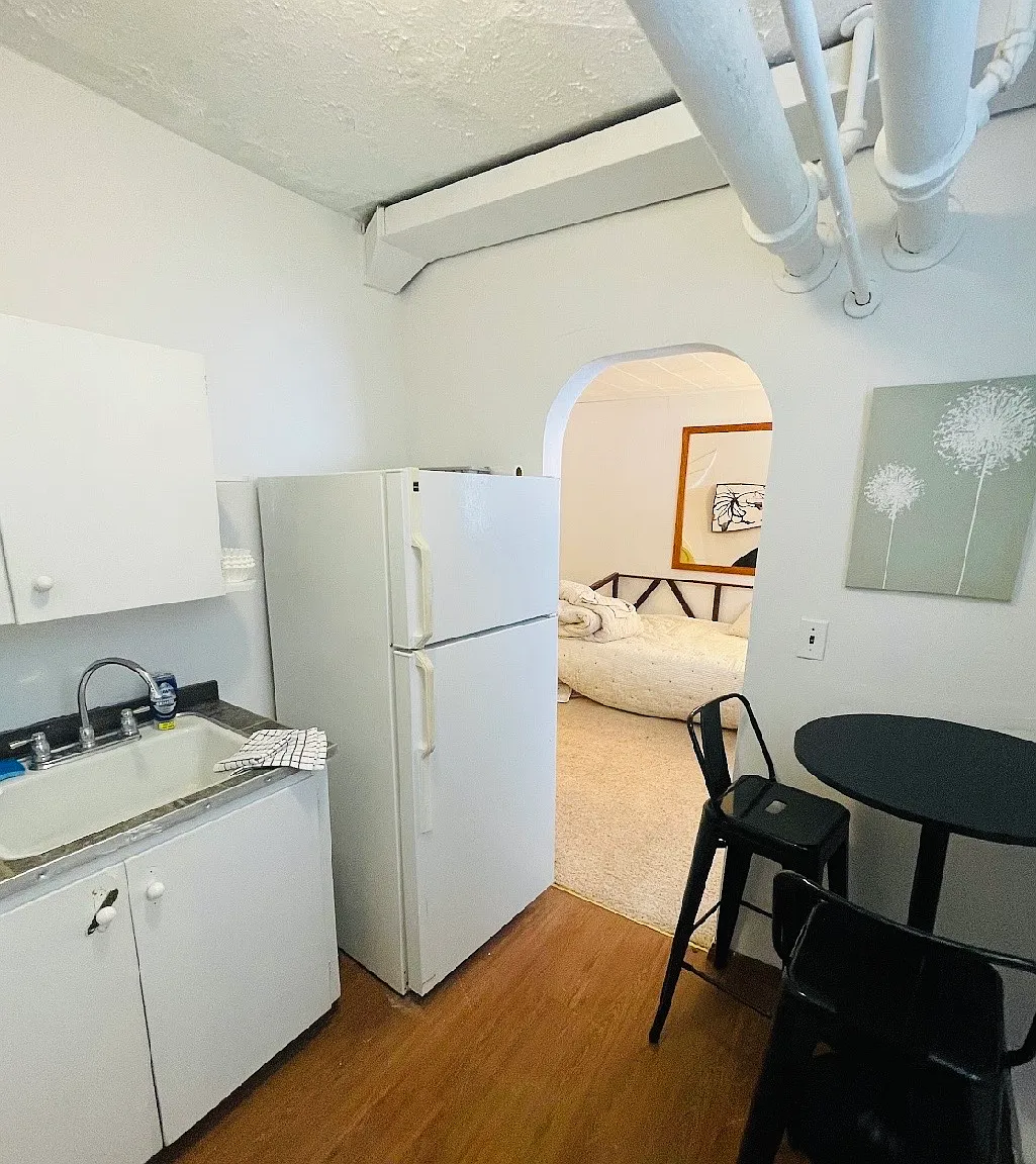 Studio, 300 sqft, $700 — Photo 4