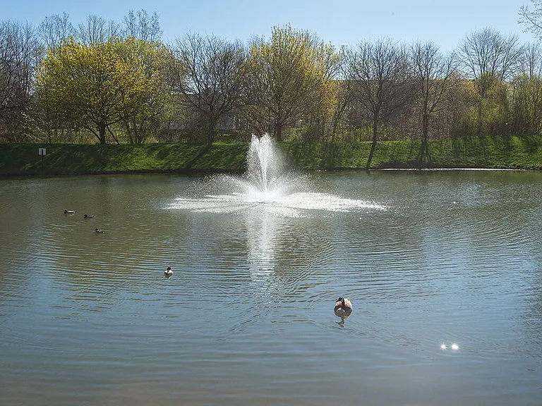 The Bloomfield Community Pond