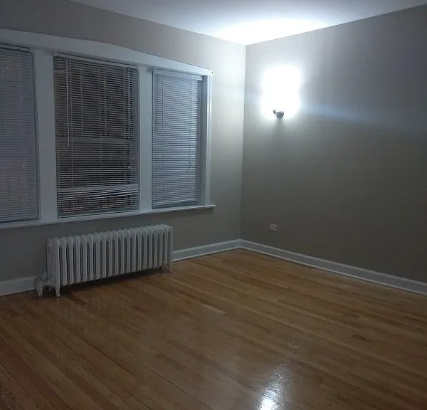 6647 N Greenview Ave #BS — Photo 4