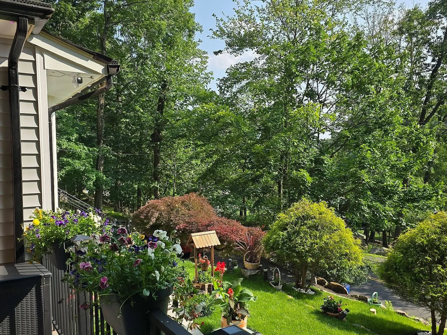 3 bed, 10802 sqft, $5,400 — Photo 2