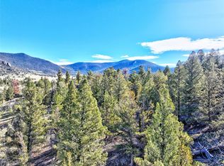 62 Grand Ln, Hartsel, CO 80449