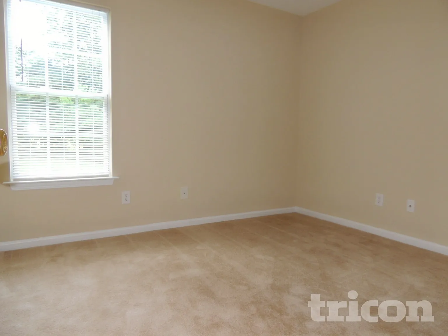 1053 Dale Avenue Charlotte NC — Photo 4