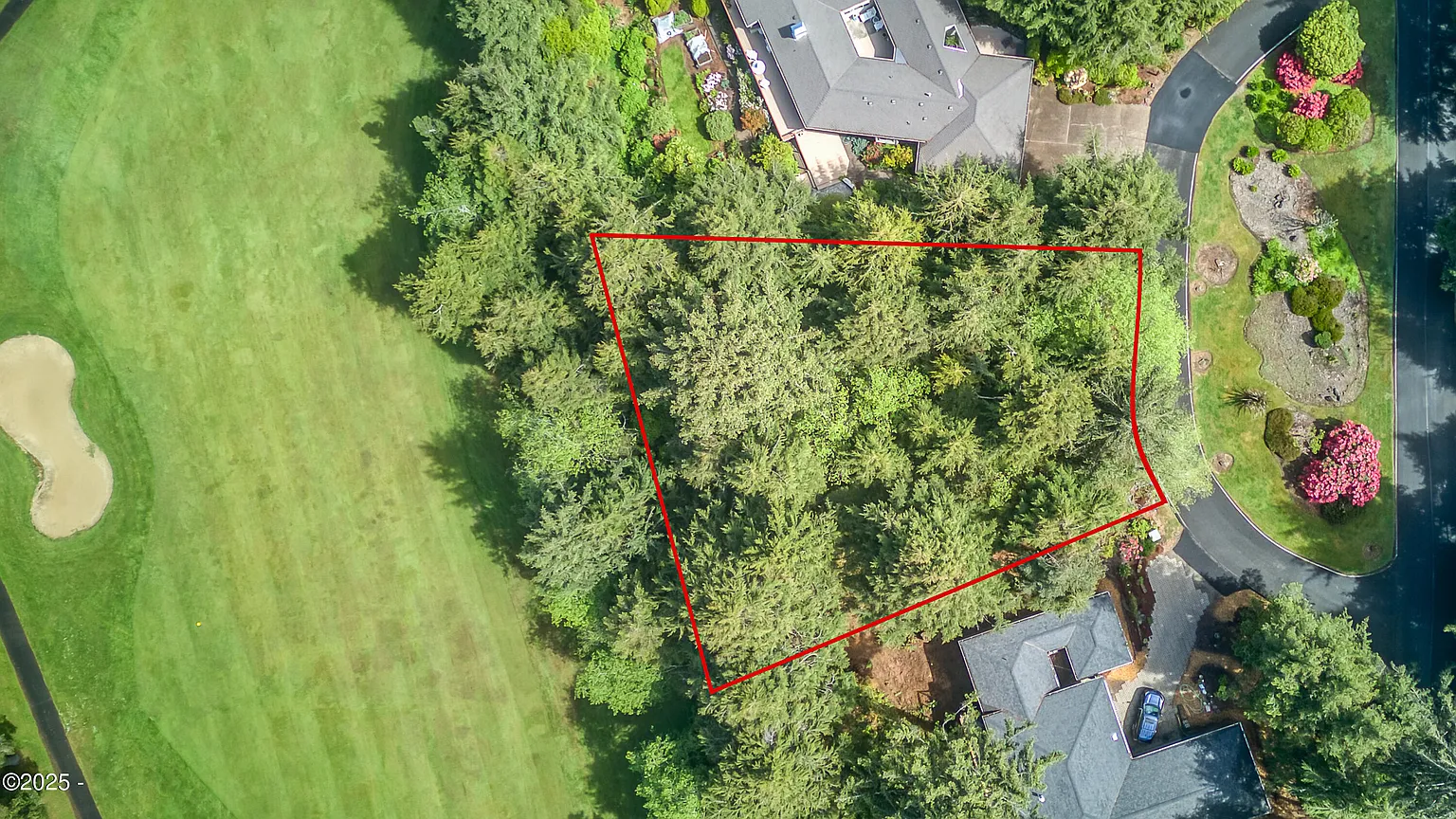 542 Fairway Dr photo 1