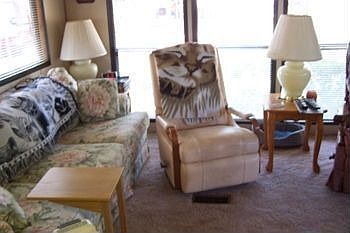 Partial view of Living Room