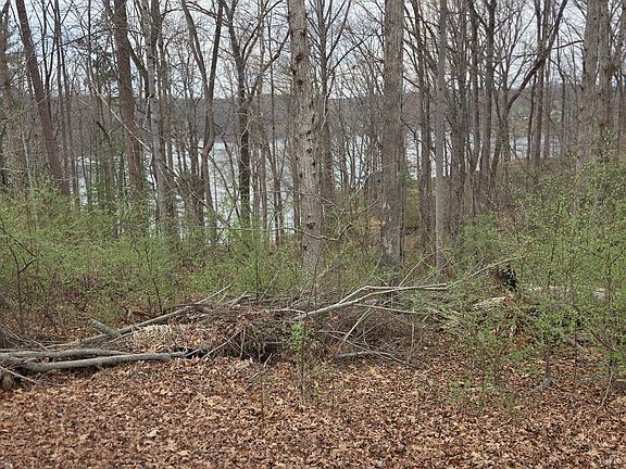 3rd image of 0 Horseshoe Bend Rd