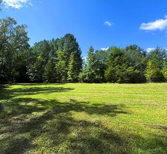 0 County Road 53, Clio, AL, 36017