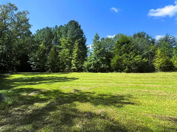 0 County Road 53, Clio, AL 36017