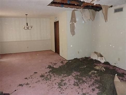 4th image of 16919 Grampin Dr