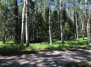 321 Crest Dr, Cimarron, CO 81220