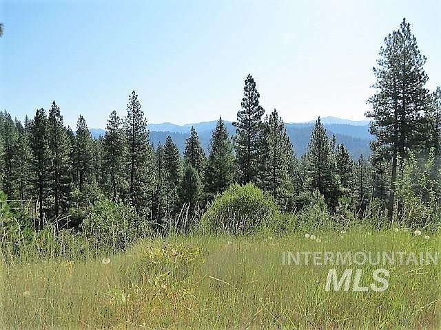 1st image of 2 Card Creek Dr