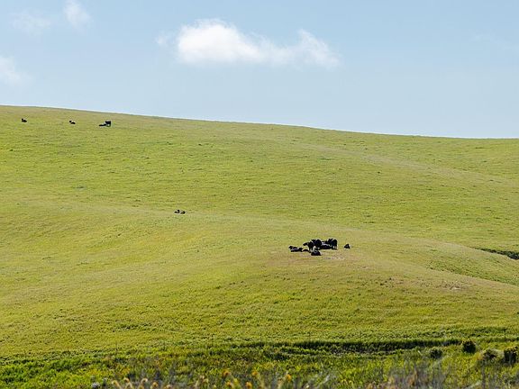 4th image of 4858 Shell Creek Road