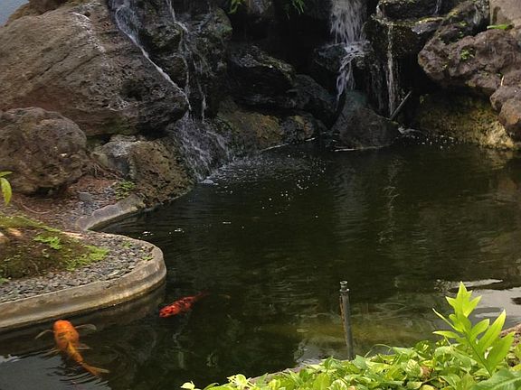 Lovely Grounds on way to unit