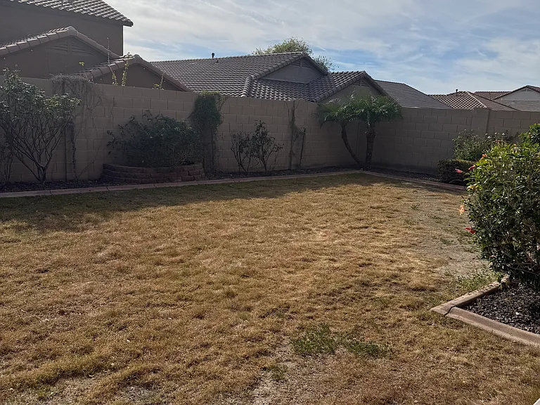 rear yard