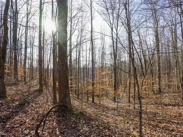 LOT 4 Wilbur Bush Rd NW, Crooksville, OH 43731