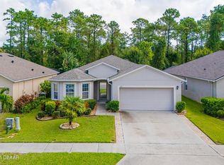 537 White Coral Ln, New Smyrna Beach, FL 32168