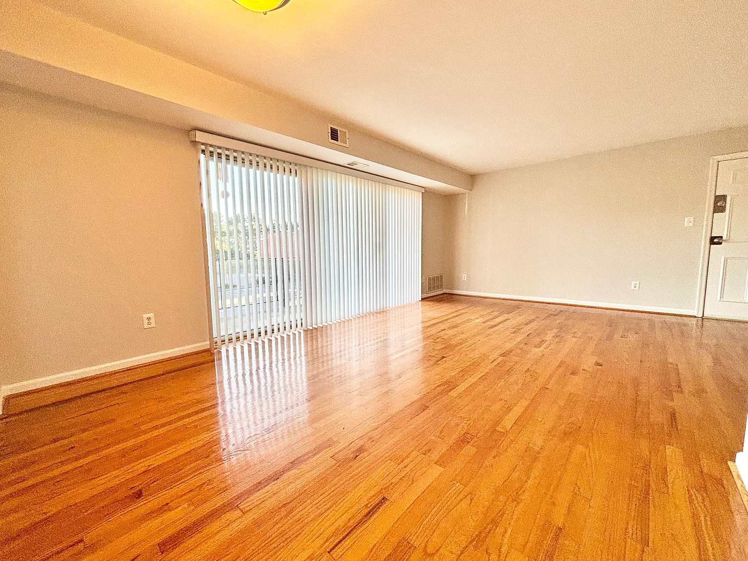 1805 William St — Photo 4