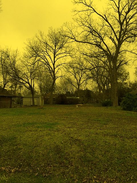 1st image of Marion St
