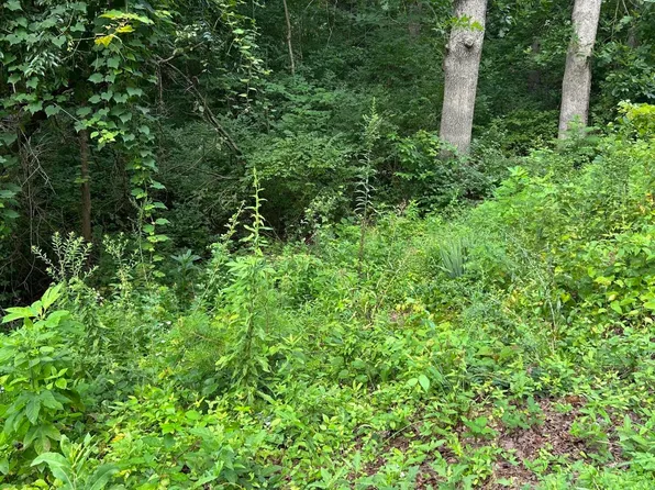 1417 Joe Hinton Rd, Knoxville, TN 37931