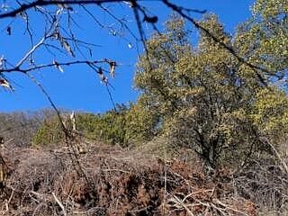 1st image of 0 County Road 1176