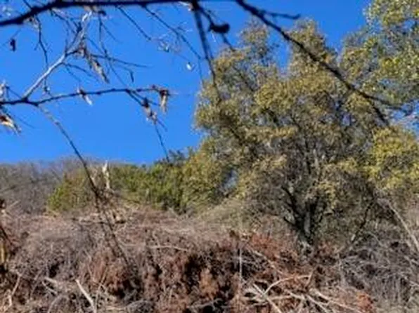 0 County Road 1176, Santa Anna, TX 76878