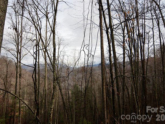 5th image of 0 Jacks Knob Rd