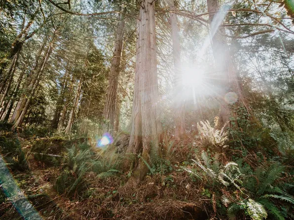 5735 Naylor Rd, Sechelt, BC V7Z 0C7