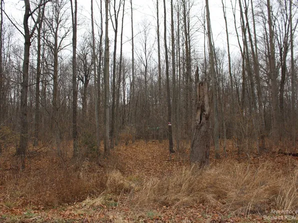 0 Orban Rd Parcel B, Grass Lake, MI 49240