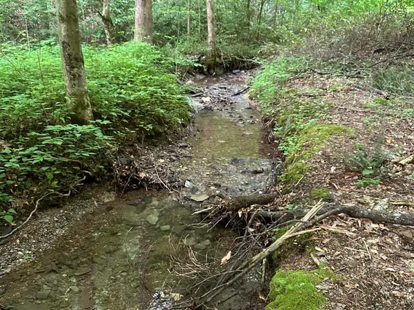 618 Tanasi Trl, Townsend, TN 37882