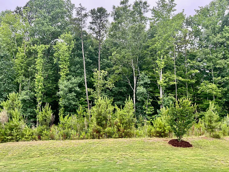 601 Deep River Way — Photo 19