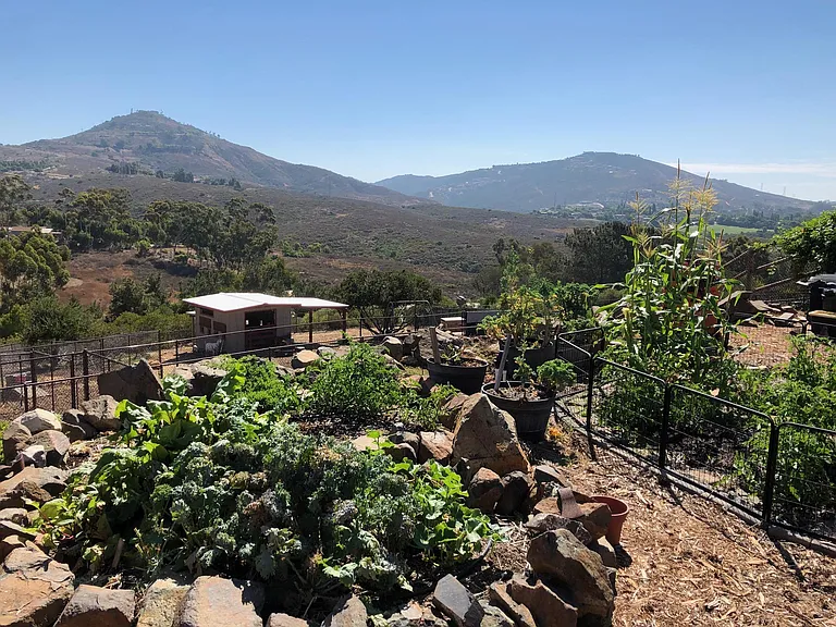 3605 Fortuna Ranch Rd — Photo 17