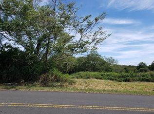LOT 1 Lot 1, Naalehu, HI 96772