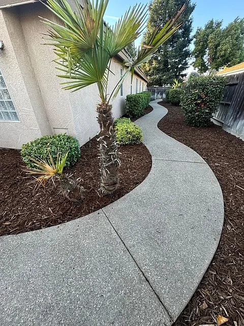 3 bed, 2287 sqft, $2,595 — Photo 4