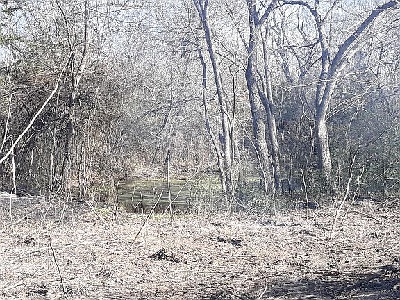 5th image of 0 County Road 32200