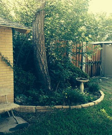 4th image of 1508 Graham Dr
