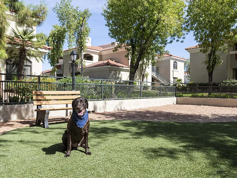Camden San Paloma — Photo 29