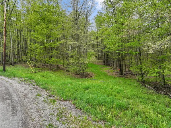 C5 S Peninsula Dr, Central City, PA 15926