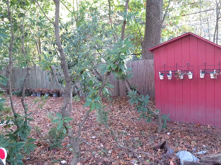 Yard