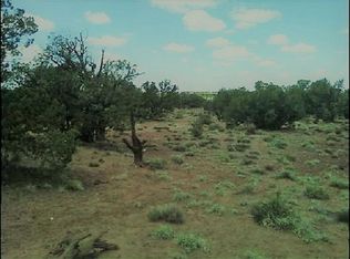 Lomas Rd, Concho, AZ 85924