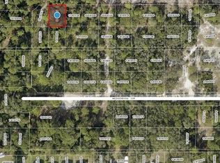 LOT 228 Park Forest Blvd LOT 228, Mount Dora, FL 32757