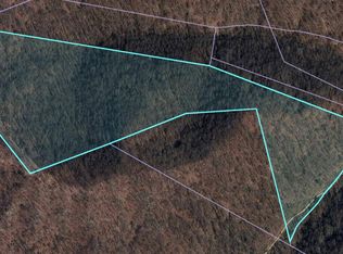 0 Hell Crk, Delbarton, WV 25670