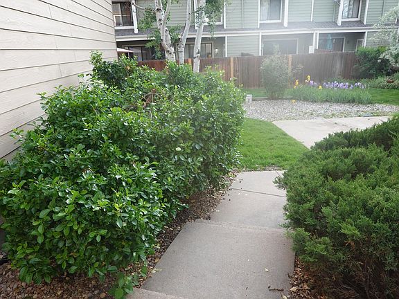 along the side of the house