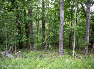 Nauvoo Rd, Windham, NY 12496