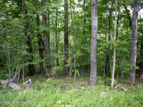 Tbd Nauvoo Road, Windham, NY 12496