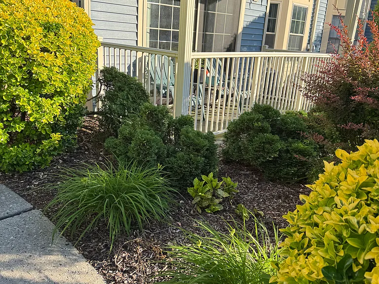329 Cozzens Ct — Photo 16